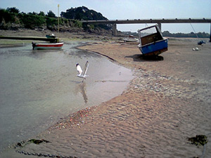 Saint Briac - Marée Basse