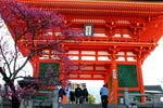 Temple Kiyomizu - Kyoto