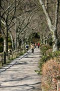 Path of Philosophy - Kyoto