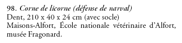 Défense de narval à l\'expo sur la Mélancolie au Grand Palais