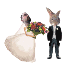 Vive la mariée&nbsp;!!