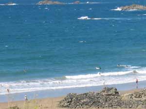 Vagues et surfs à la plage de la Garde