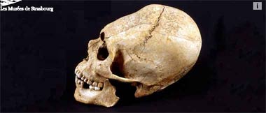 Histoire(s) de Squelettes au Musée Archéologique de Strasbourg