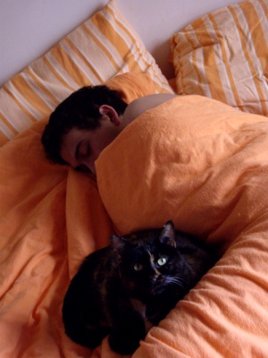 Chérichou et Voyelle