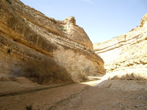 Décor StarWars - désert Tunisien