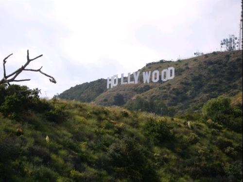 Signe Hollywood