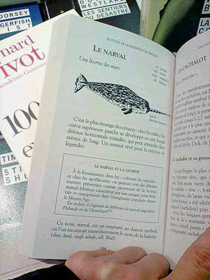 Un narval dans un bouquin !