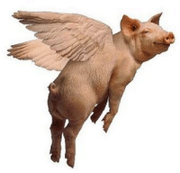 Attention Cochon Volant !! Attention Cochon Volant !!