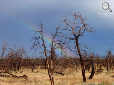 Mesa Verde National Park - Un arc-en-ciel après la pluie