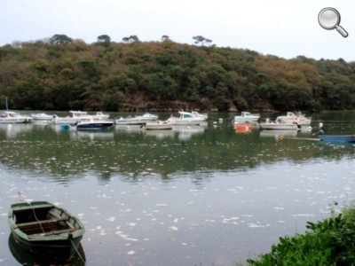 Vue de la Laïta au port du Pouldu