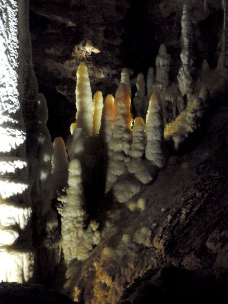 Stalagmites de la grotte de Clamouse