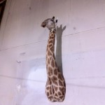 "Rachel, Monique" de Sophie Calle au Palais de Tokyo