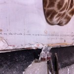 "Rachel, Monique" de Sophie Calle au Palais de Tokyo