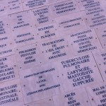 "Rachel, Monique" de Sophie Calle au Palais de Tokyo