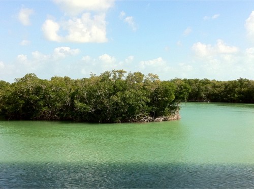 Vue de Key Largo - Floride