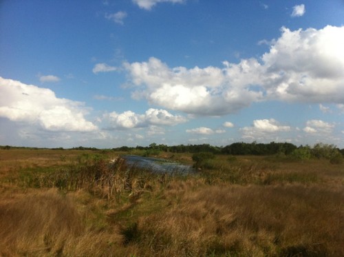 Parc des Everglades - Vue globale