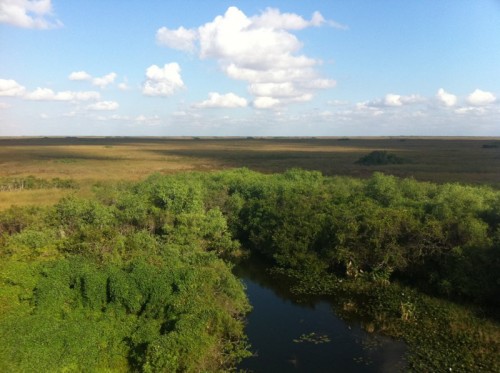 Parc des Everglades - Vue de la rivière