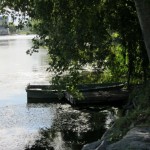 Bords de la Sarthe à Solesmes (72)