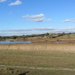 Dunes Et Etangs De Trévignon