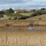 Dunes Et Etangs De Trévignon