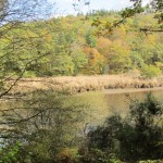Vue de la Laïta de la forêt de Carnoët