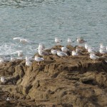 Doëlan (Clohars-Carnoët)