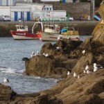 Doëlan (Clohars-Carnoët)