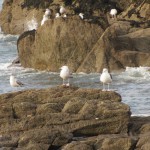 Doëlan (Clohars-Carnoët)