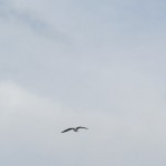 Doëlan (Clohars-Carnoët)