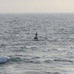 Doëlan (Clohars-Carnoët)