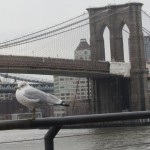 New York - Vue du pont de Brooklyn du Pier 17