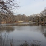 New York - Central Park