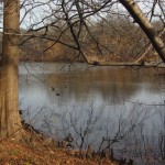 New York - Central Park