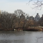 New York - Central Park