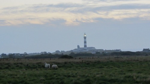 Phare du Créac'h dans le soleil couchant - Île d'Ouessant