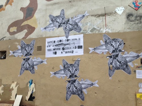 Eh oui&nbsp;!!! Le chat-à-moustache a toujours raison. ^^