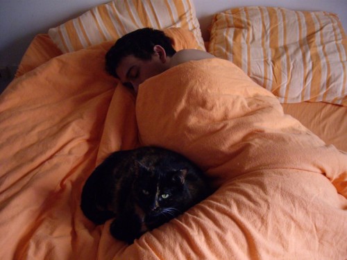 Voyelle chez moi avec A.