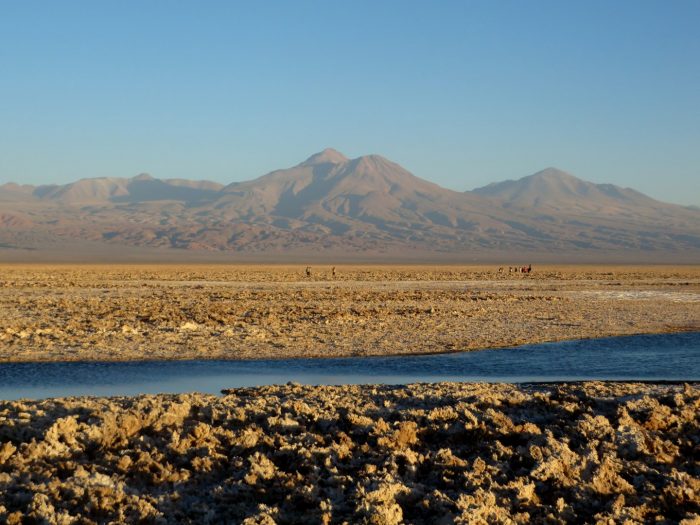 Laguna Chaxa