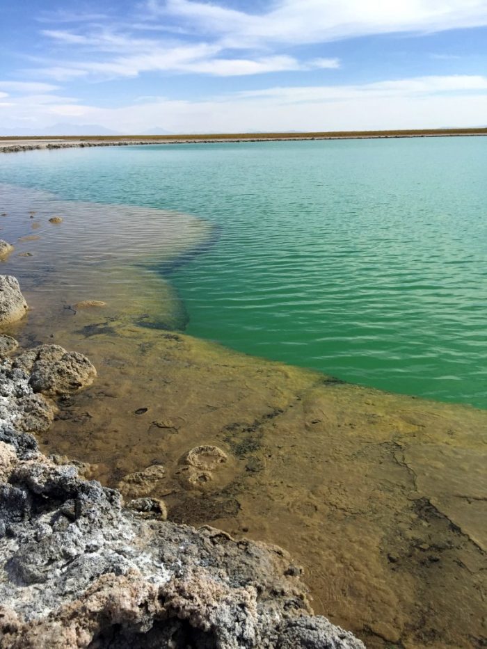 Laguna Cejar - Atacama