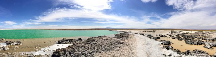 Laguna Cejar - Atacama