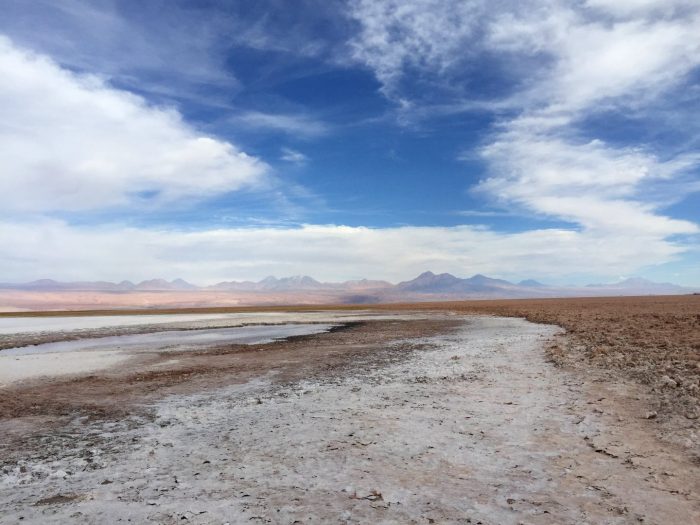 Laguna Cejar - Atacama