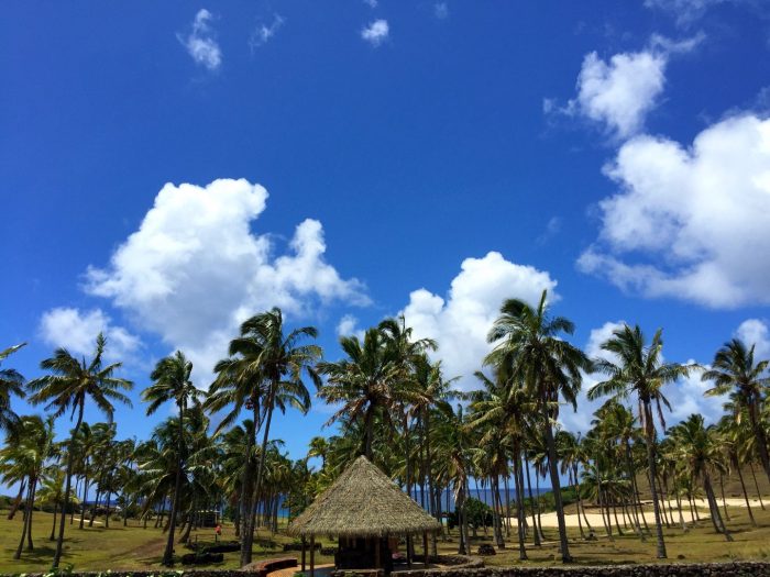 Plage d'Anakena