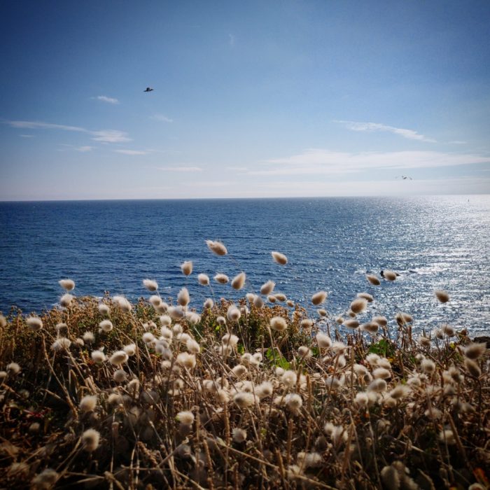 Bord de mer au Pouldu