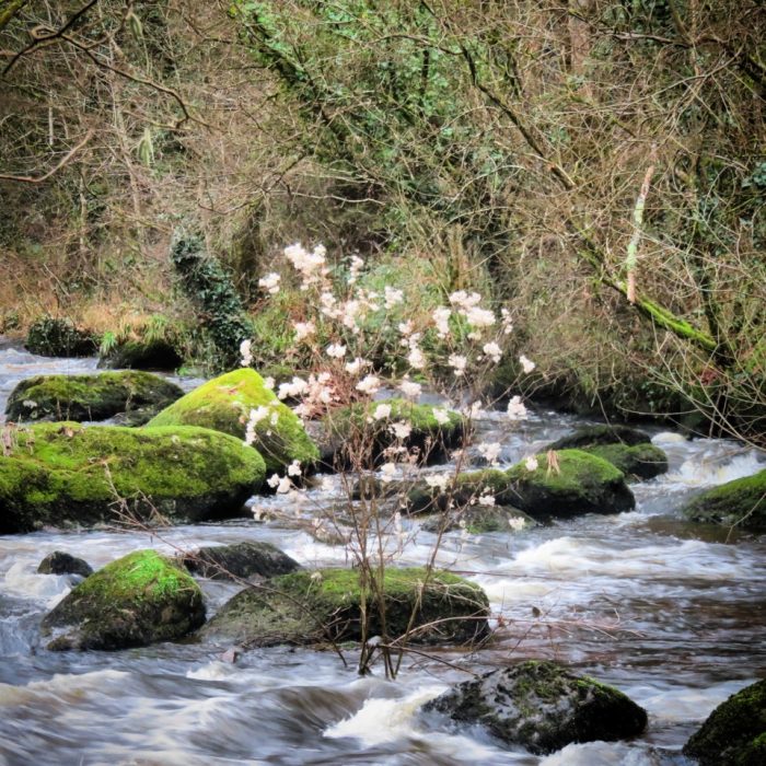 Chapelle Sainte Barbe du Faouët